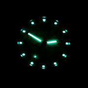 Bertucci DX3 Field Watch with Sage Dial #11132