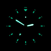 Bertucci A-2TR Field Pro GMT Black Dial with Khaki Rubber Strap #12132