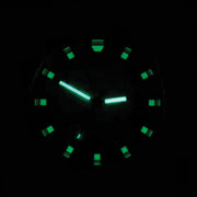 Bertucci A-2A Golden Field Watch with White Dial and Striped Nylon Band #16301 lime