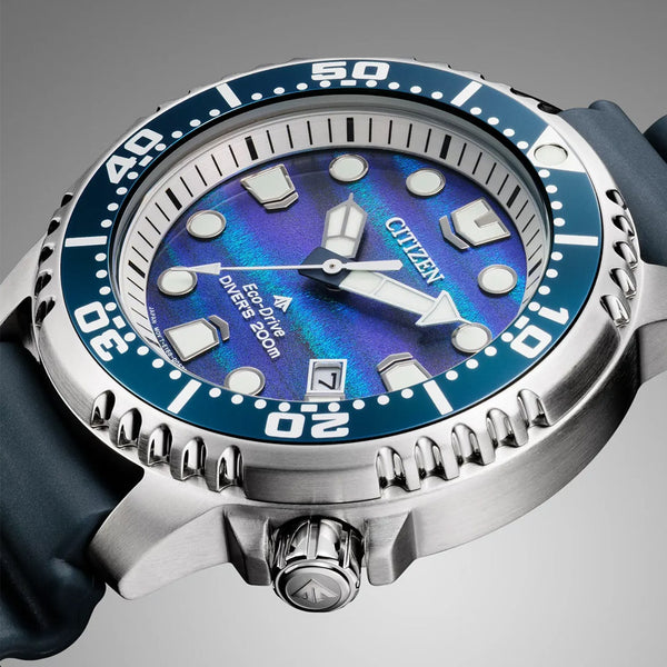 Citizen Promaster Limited Edition Dive Watch #BN0167-09W