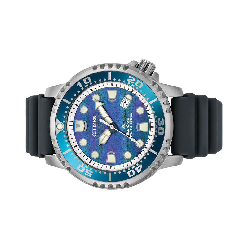 Citizen Promaster Limited Edition Dive Watch #BN0167-09W