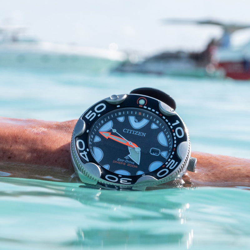 Citizen Eco-Drive Promaster Dive Watch "Orca" with Black Dial and Rubber Strap #BN0230-04E lifestyle
