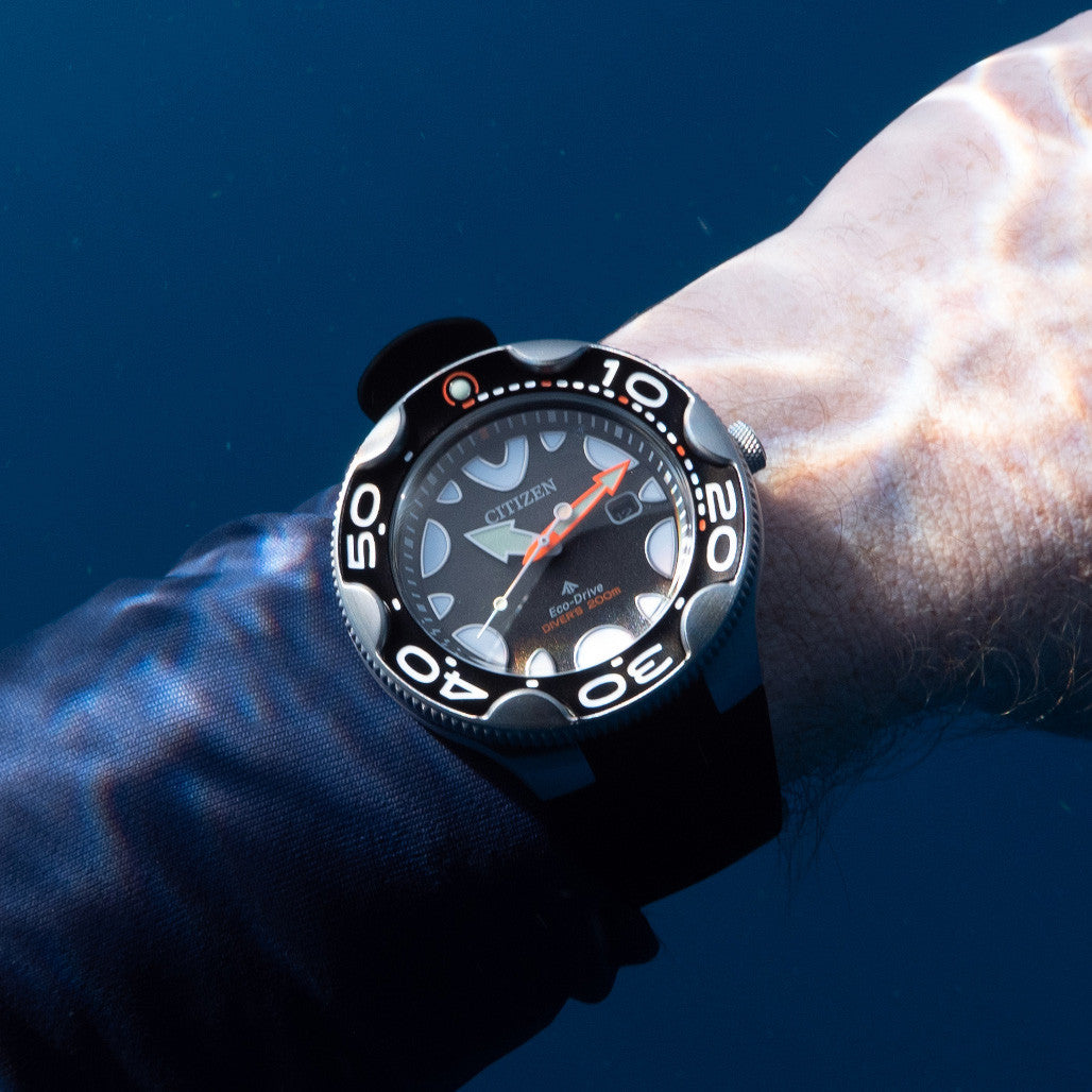Citizen Eco-Drive Promaster Dive Watch 
