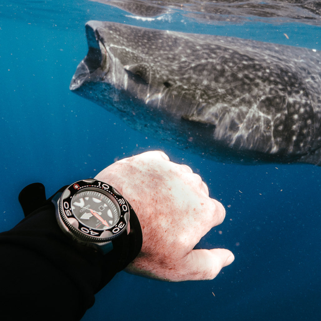 Citizen Eco-Drive Promaster Dive Watch 