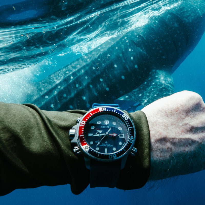 Citizen Promaster Aqualand Eco-Drive with Blue Dial and Depth Meter #BN2038-01L lifestyle