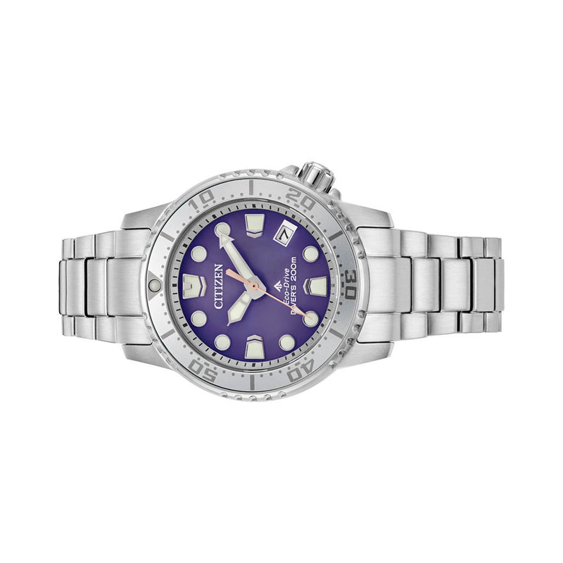 Citizen Promaster 36.5mm Solar Dive Watch with Purple Dial #EO2027-50X