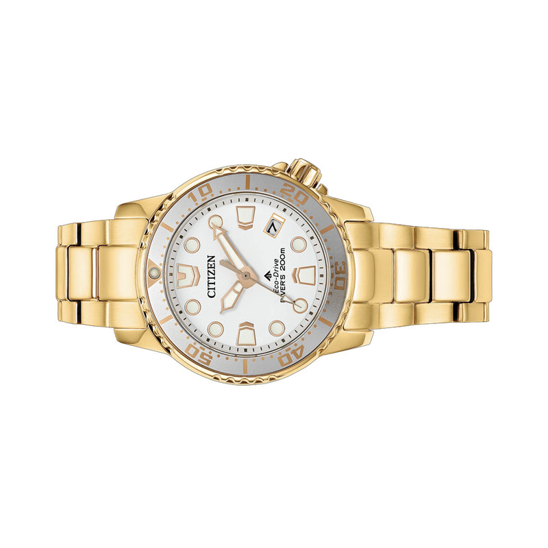 Citizen Eco-Drive 36.5mm Promaster Dive Watch in Yellow Gold #EO2029-54A