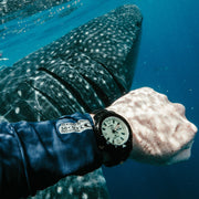 Citizen Automatic Promaster Dive Watch with Fully Lumed Dial and PVD Case and Bracelet #NY0155-58X wrist