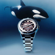 Spinnaker Hass Automatic Whale Sanctuary Project LE Black Dial #SP-5128-44