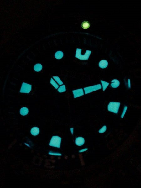 Citizen Eco-Drive Promaster Scuba Diver Watch with Rubber Dive Strap #BN0151-17L