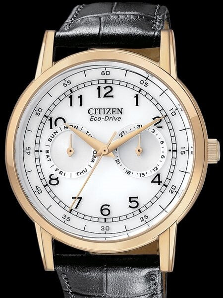 Citizen Goldtone 42mm Eco-Drive Watch with Day-Date Sub-Dials #AO9003-16A