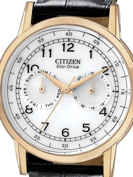 Citizen Goldtone 42mm Eco-Drive Watch with Day-Date Sub-Dials #AO9003-16A