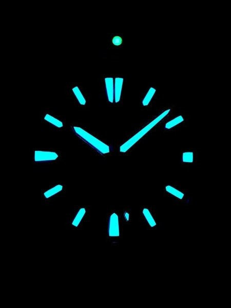 Citizen Eco-Drive Promaster 200 Meter Scuba Diver Watch with Dive Strap #BN0190-15E