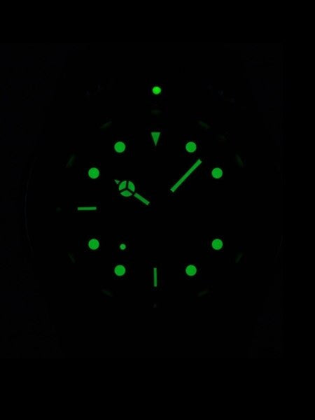 Squale 200 meter Blueray Swiss Automatic Dive watch with Domed Sapphire Crystal #1545-BR