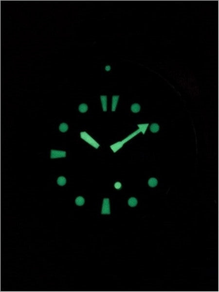 Seiko Special Edition, Save the Ocean Prospex Turtle Automatic Dive Watch #SRPD11