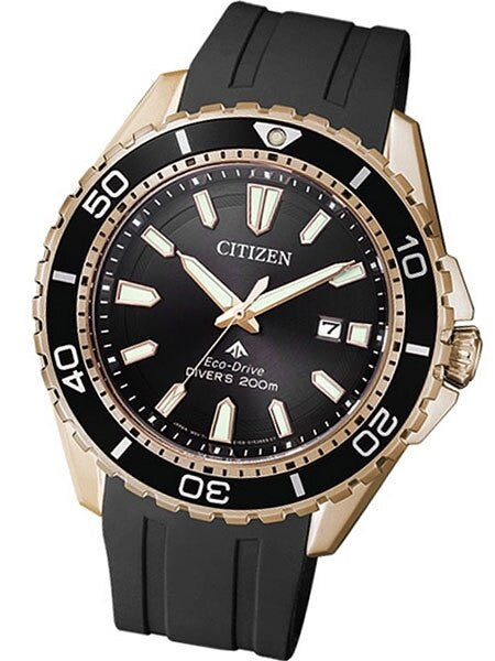 Citizen Eco-Drive Promaster 200 Meter Scuba Diver Watch with Dive Strap #BN0193-17E