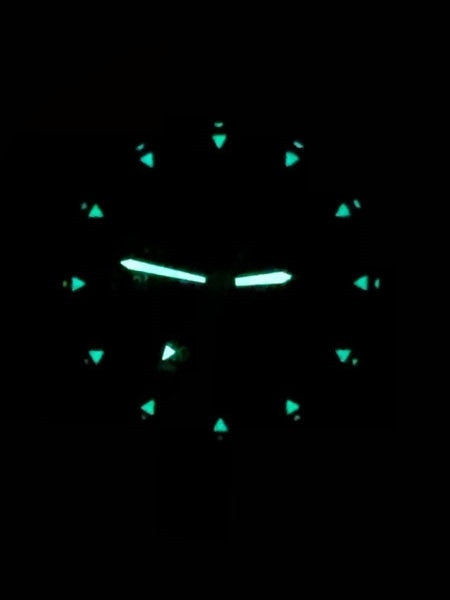 Bertucci A-2CT Cera-Tiâ¢ Ceramic Coated Titanium Field Watch with Swiss Quartz Movement #12139