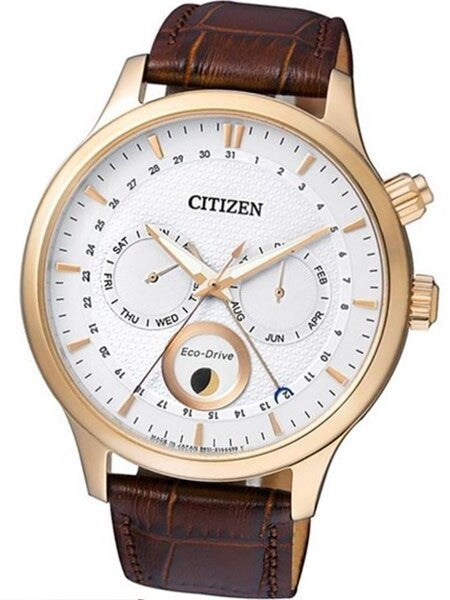 Citizen Eco-Drive Calendar Watch with Pointer Date, Sapphire Crystal #AP1052-00A