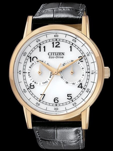 Citizen Goldtone 42mm Eco-Drive Watch with Day-Date Sub-Dials #AO9003-16A