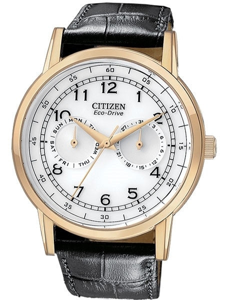 Citizen Goldtone 42mm Eco-Drive Watch with Day-Date Sub-Dials #AO9003-16A