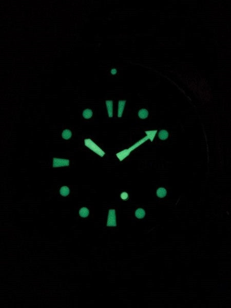 Seiko Save the Ocean Prospex Turtle Automatic Dive Watch with Stainless Steel Bracelet #SRPD21