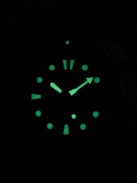 Seiko Turtle, Prospex Automatic Dive Watch with a Seiko Rubber Dive Strap #SRP779