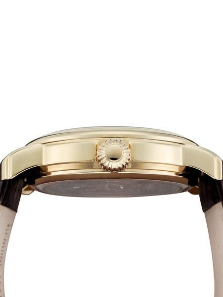 Rougois Dual Time Zone Skeleton Automatic Watch with Day/Night Moonphase #RG305G