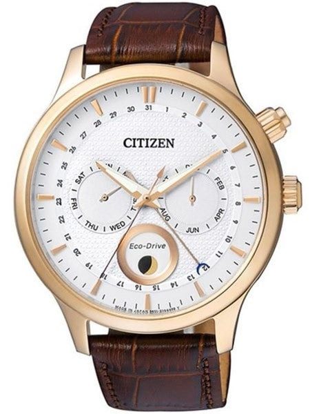 Citizen Eco-Drive Calendar Watch with Pointer Date, Sapphire Crystal #AP1052-00A