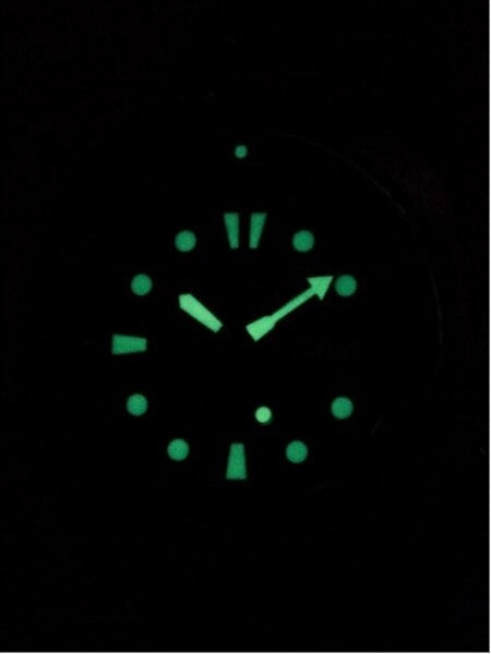 Seiko Save the Ocean Prospex Turtle Automatic Dive Watch with Silicone Dive Strap #SRPC91