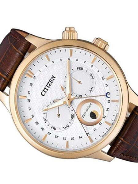 Citizen Eco-Drive Calendar Watch with Pointer Date, Sapphire Crystal #AP1052-00A