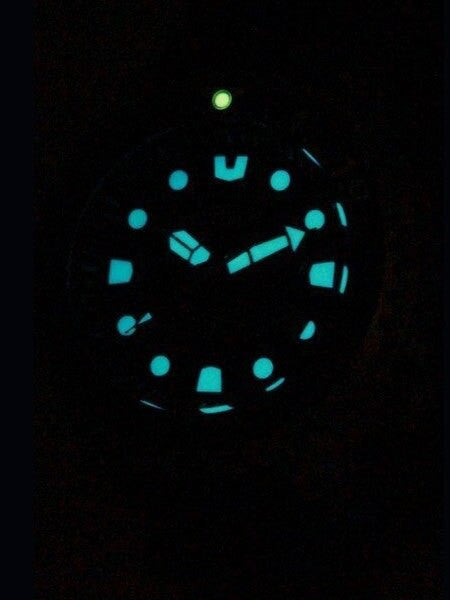 Citizen Eco-Drive Promaster Scuba Diver Watch with Rubber Dive Strap #BN0150-10E