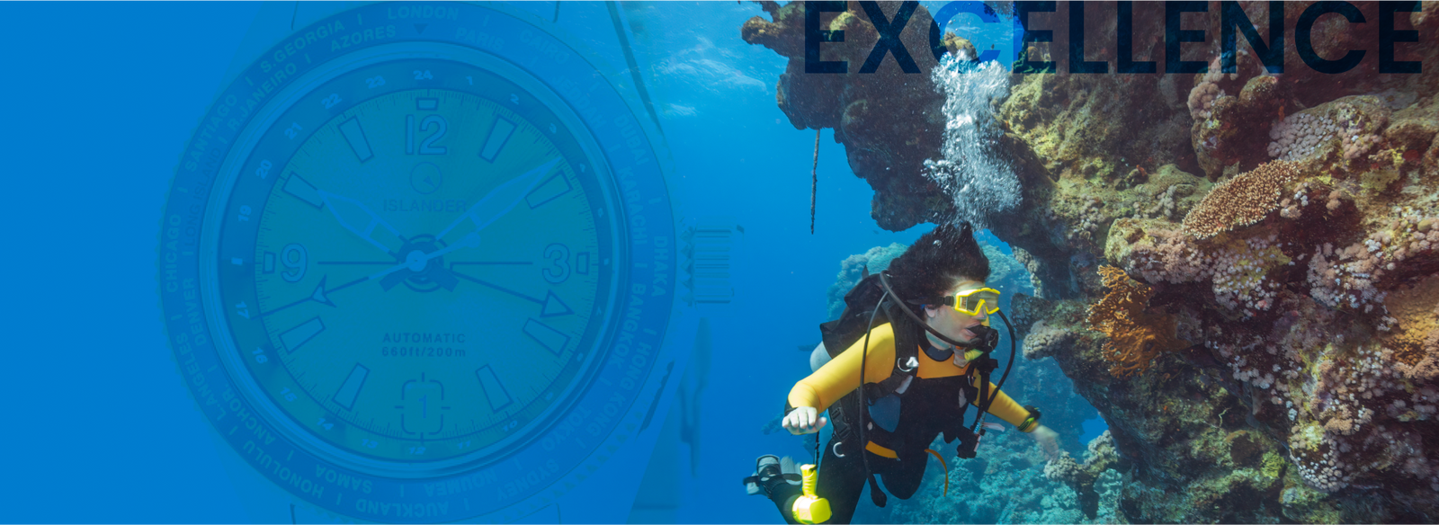 Dive into Excellence: Legendary Models from Seiko, Marathon, and NTH
